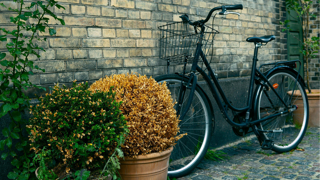 Ciclismo de verano: la solución para un paseo saludable y elegante